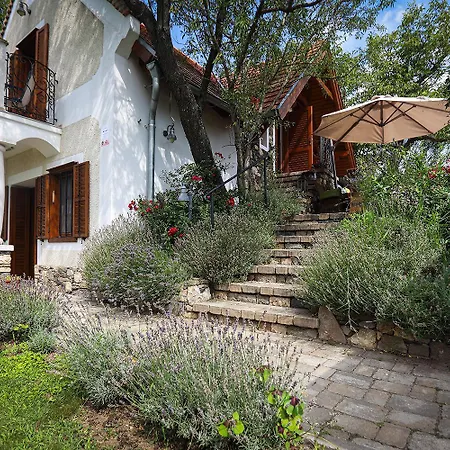 Kali Borhaz - Nyaralohazak Semesterbostad