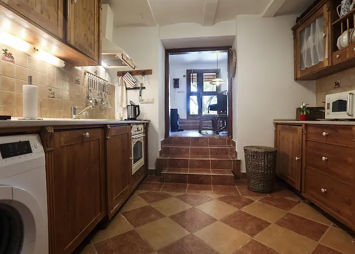 Kali Borhaz - Nyaralohazak *