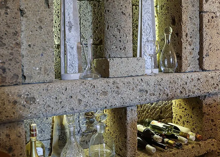 Kali Borhaz - Nyaralohazak *