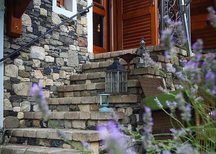 Kali Borhaz - Nyaralohazak * Köveskál