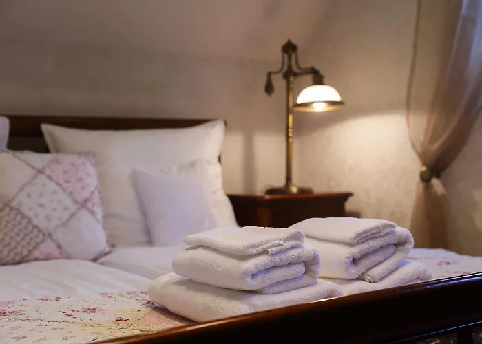 Kali Borhaz - Nyaralohazak